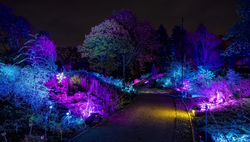 Winter Dreams :  תערוכת פסלי האור הגדולה בעולם מגיעה לישראל